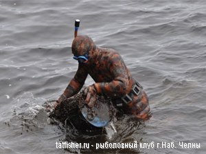 � ����������� � ���� ��������� �����-������